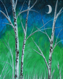 Art Circle - Birches at Night